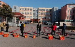 開門迎福，大展鴻“兔”